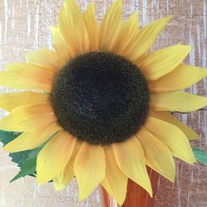 Meet your Posher, Violet